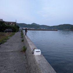エギング