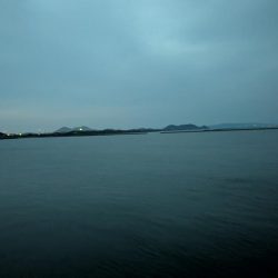 カラー