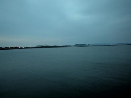 カラー
