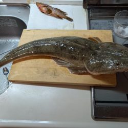 照りゴチ