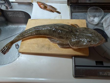 照りゴチ