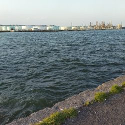 小潮の午後
