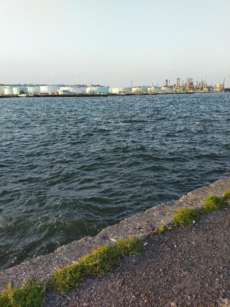 小潮の午後