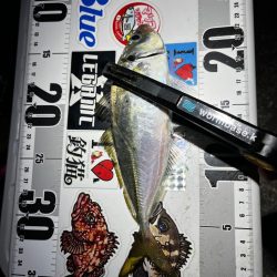 アジング