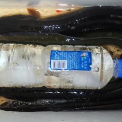 うなぎ釣り