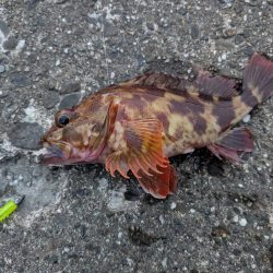 潮止まり