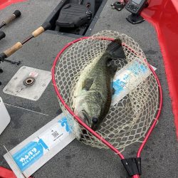 北山田59cm