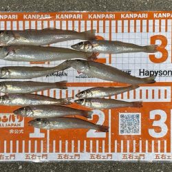 曇天鱚釣