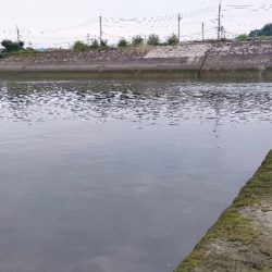 チニング