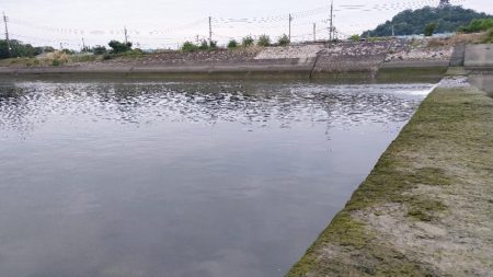 チニング