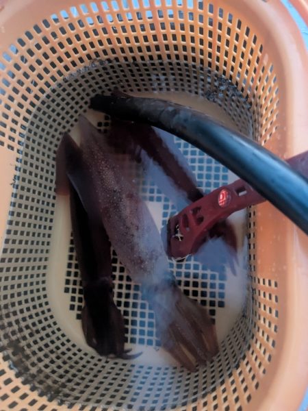 日本海にて
