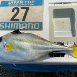 シロギスタのヒイラギスレイヤー　