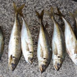 満足！