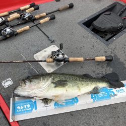 北山田59cm