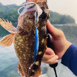 本日も二刀流