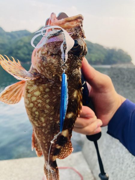本日も二刀流