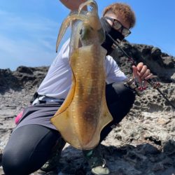 夏イカ