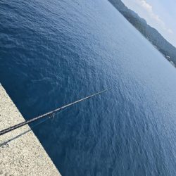 小浦一文字で小物六目釣り…