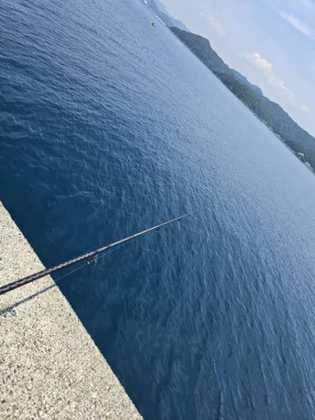 小浦一文字で小物六目釣り…