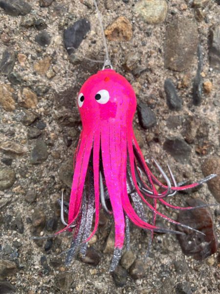 タコ釣り