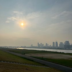 今年初の…