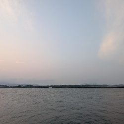 高水温
