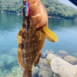 本日も二刀流