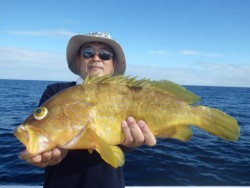 芳美丸 釣果