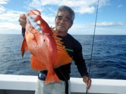 芳美丸 釣果