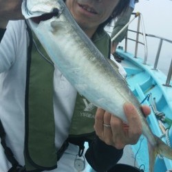 みやけ丸 釣果