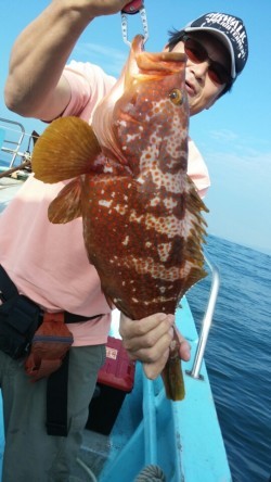 みやけ丸 釣果