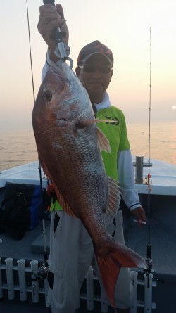 タイラバ船の海豚　ここのところ