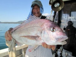 絢美丸 釣果