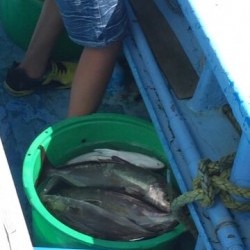 さぶろう丸 釣果