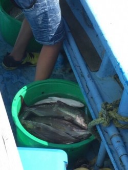 さぶろう丸 釣果