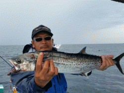 清和丸 釣果