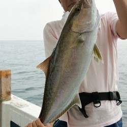 宝生丸 釣果