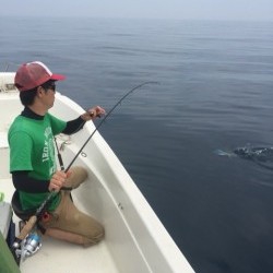 「LaGooN」蒼陽丸 日和号　 釣果