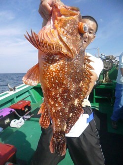 随功丸 釣果