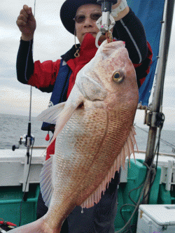 清和丸 釣果