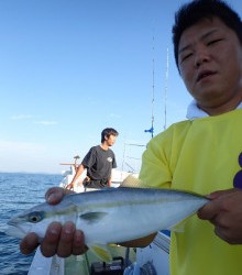 水天丸 釣果