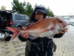 鯛多ニック 釣果