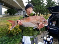 鯛多ニック 釣果