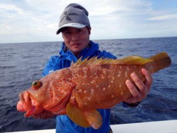 芳美丸 釣果