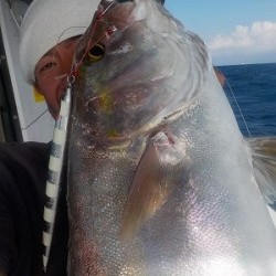 明日丸 釣果