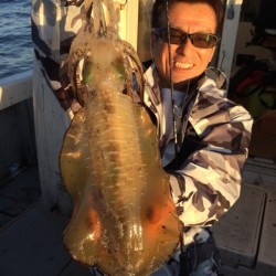 エヌスタイル 釣果