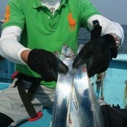 みやけ丸 釣果