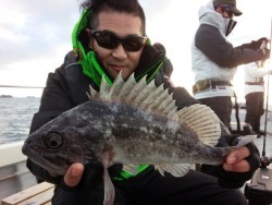 MATSUSHIMA SEANET 釣果