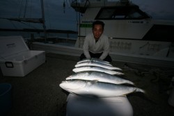 オーシャンズ 釣果