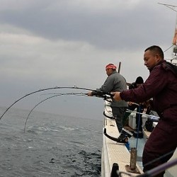 宝生丸 釣果